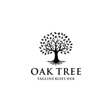 Illustration silhouette Tree Oak logo design vintage vector 