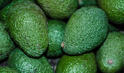 Green fresh avocados lie in a box at the market's exhibition stand. The fruit of a tropical avocado tree, a large berry containing a single seed. Nutritious and healthy fruits. Dietary and vegetarian 