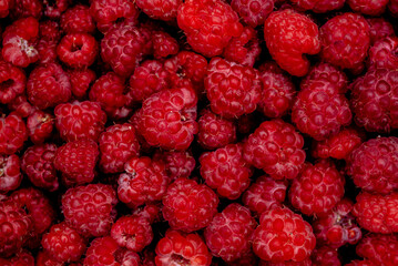 .ripe raspberries close up