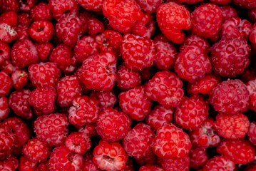 .ripe raspberries close up