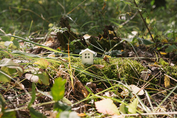 Toy house in the forest stands on a mysterious stump with moss.