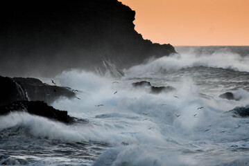 Mar, olas y atardecer 