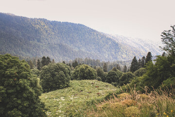 View of the mountains of the North Caucasian ridge