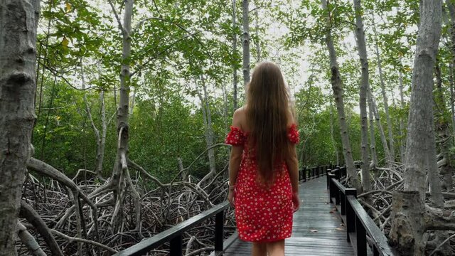 Back View of Young Woman in Red Dress Walking Along Wooden Path Among Green Trees. Alone Tourist Walks on Bridge and Enjoying Nature in Park with Mangrove Trees in Thailand, Pran Buri. Slow Motion