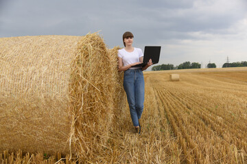 Naklejka na ściany i meble Close-up of bales of straw, next to a girl with a laptop.