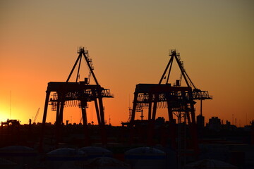 sunset in the port