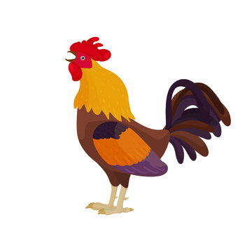 Vector illustration of a rooster in a cartoon style sings. Bright rooster crows as a symbol or mascot for children's books, clothing design and postcards with letters.