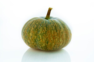 Fresh pumpkin in white background