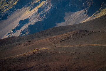 Hikers walks through a path in Maui, Hawaii.