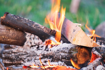 firewood in the fire