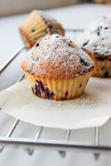 Currant muffins sprinkled with powdered sugar