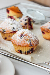Currant muffins sprinkled with powdered sugar