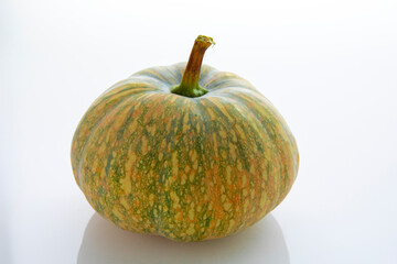 Fresh pumpkin in white background