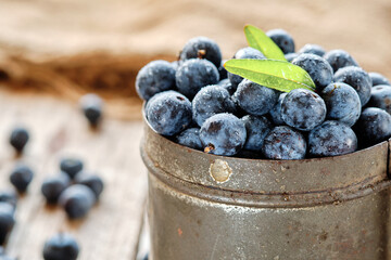 Blueberries inside an old metal cup