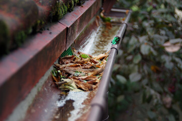 Plastic guard in gutter trough on a house roof