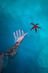 Red starfish in tattooed human hand on blue Turquoise sea