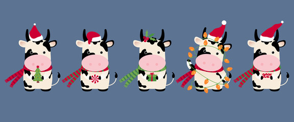 Cow. Christmas set. Ox horoscope sign. Chinese year of Ox 2021. Cow Happy New Year. Big Christmas set. Concept image of symbol Chinese new year 2021. Christmas design with holiday symbols