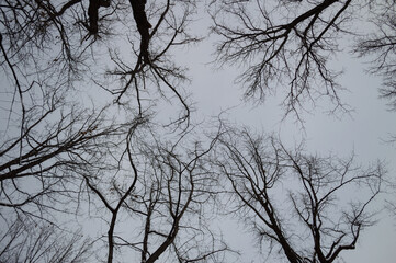 Winter in Bishkek, Kyrgyzstan