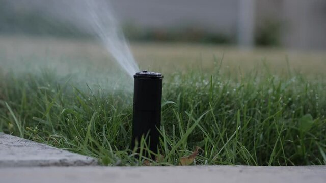 Rainbird 5000 Rotor Gear Drive Pops Up and Goes Back Down in Lawn