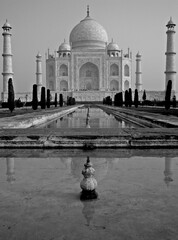 The Taj