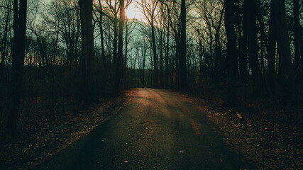 A Blacktop Path in a Dead Winter Forest With a Bright Sunset Behind It