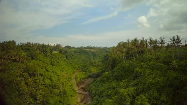 Aerial view of palm trees and mountain river on Bali island in Indian Ocean2