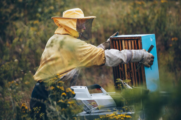 Beekeeper in protective wear working with the bee smoker equipment.