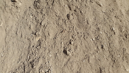 Sand surface. Loose sand. Sand. Grainy texture