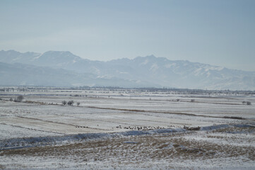 Mountain Range and Steppe Landscape seen from Top of Burana Tower near Tokmok, Kyrgyzstan