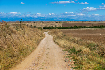 rural landscape of a dirt road that connects one town with another town with blue sky and white clouds