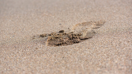 Fototapeta na wymiar Footprint on the sand. Macro Photography with selectable focus.