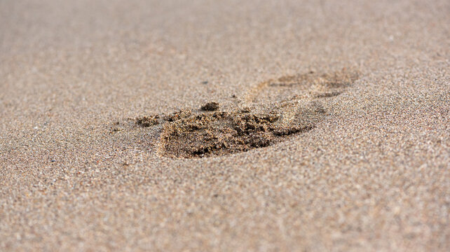 Footprint on the sand. Macro Photography with selectable focus.