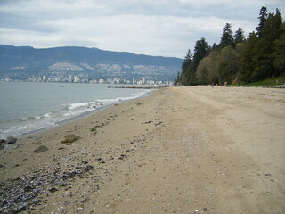 beach and ocean