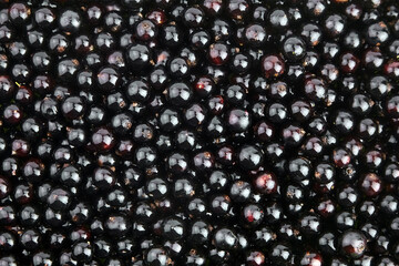 Black currant berries food background