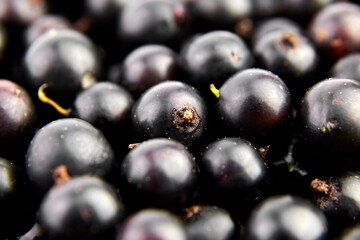 Black currant fresh berries closeup