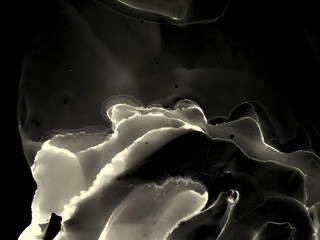 Multilayer Composition.  Grey Backdrop.