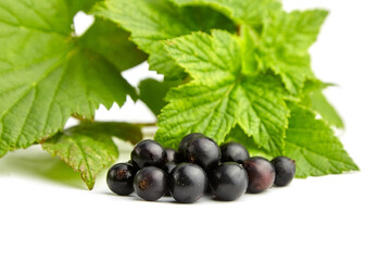 Ripe black currant berries with green leaves isolated on white background