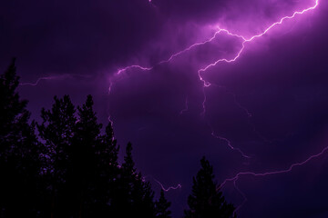 Powerful lightning bolts in the purple sky against the background of trees.