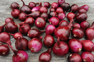 harvest of purple onions on gray textured background.