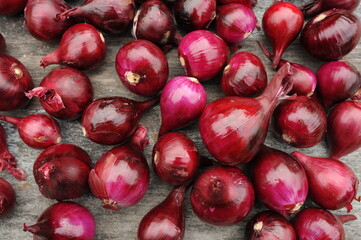 harvest of purple onions on gray textured background.