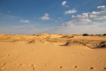 Beautiful desert landscape with dunes. Walk on a sunny day on the sands.