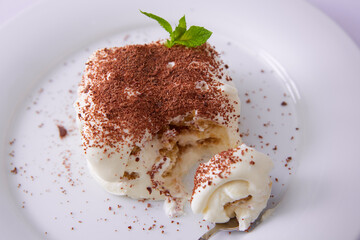 Homemade tiramisu, a traditional Italian dessert. Shallow dof.