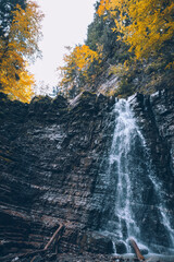 autumn forest waterfall landscape view