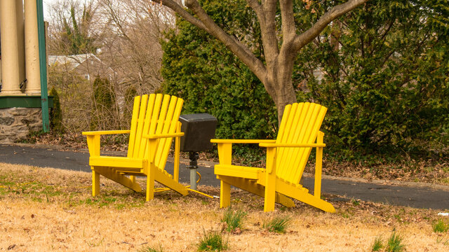 Two Yelllow Wooden Lawn Chairs With a Tree in between them