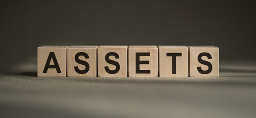 ASSETS word written on wooden blocks. Financial concept