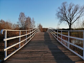 Obraz premium wooden bridge in the park