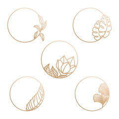 elegant feminine logo editable template