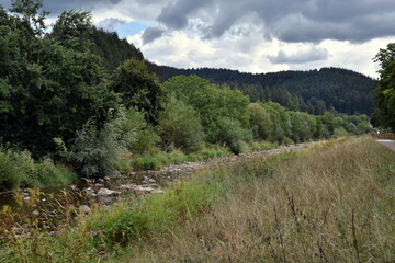 Grünes Dreisamufer in Freiburg unter Wolken