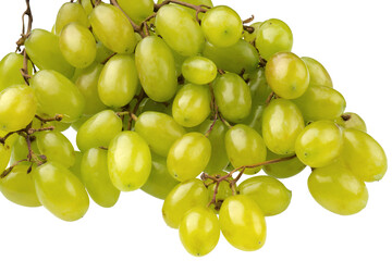 A bunch of ripe large light grapes on a white background isolated