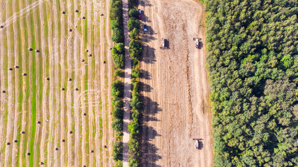 Harvest. Red harvesters work in the field. Aerial view of harvesting of wheat and agricultural machinery. Top view.